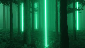 Dark Forest VJ Loop enter into a forest full of green neons.